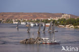 Nile