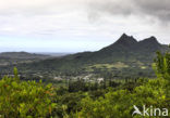 Nuuanu Pali