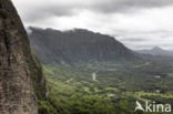 Nuuanu Pali