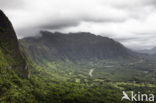 Nuuanu Pali