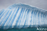 Pleneau Island