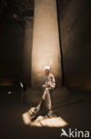 Temple of Horus