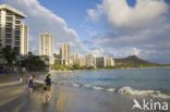 Waikiki Beach