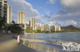 Waikiki Beach