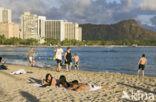 Waikiki Beach