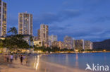 Waikiki Beach