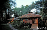 Walindi Platation Resort