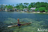 Bismarck Archipelago