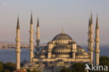 Blue Mosque