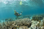 Caroline Islands