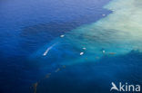 Pacific Ocean