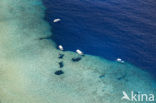 Pacific Ocean