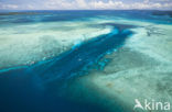 Pacific Ocean