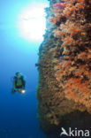 Pacific Ocean
