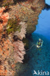 Pacific Ocean
