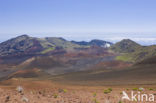 Haleakala National Park