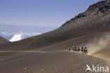 Haleakala National Park