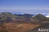 Haleakala National Park