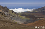 Haleakala National Park