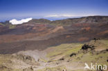 Haleakala National Park