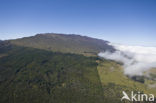 Haleakala National Park