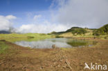 Lagoa do Capitao