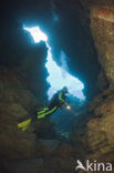 Lanai Cathedrals