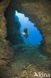 Lanai Cathedrals