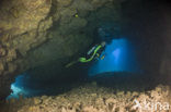 Lanai Cathedrals