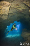 Lanai Cathedrals