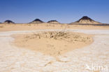 Libyan Desert