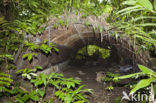 Peleliu Island