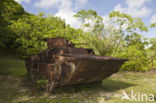 Peleliu Island