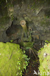 Peleliu Island