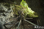 Peleliu Island