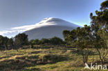Mount Pico