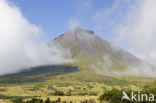 Pico Vulkaan