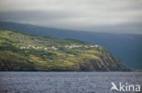 Pico Island