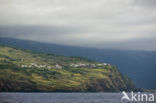 Pico Island