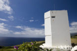 Pico Island