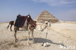 Pyramid of Djoser