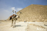 Great Pyramids