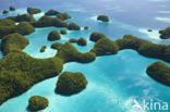 Seventy Islands