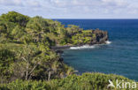 Waianapanapa State Park