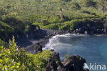 Waianapanapa State Park