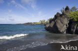 Waianapanapa State Park