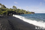 Waianapanapa State Park