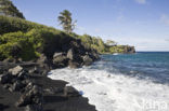 Waianapanapa State Park