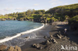 Waianapanapa State Park