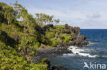 Waianapanapa State Park